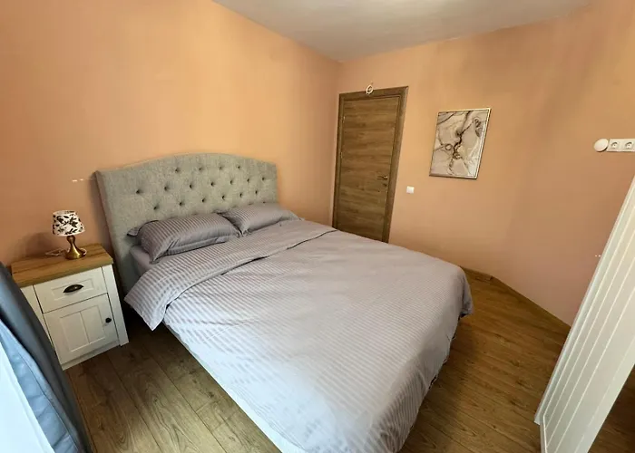 Spacious Sunny Flat With 2 Bedrooms In The Heart Of 普罗夫迪夫